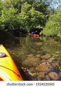 Where A Narrow Creek Flows Into A Seaside Cove, Kayaks Navigate Through Shallow, Still Water, Large Rocks And Low Hanging Trees That Cast Their Dark Shadows.