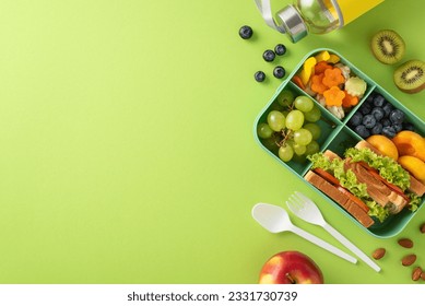 Whet appetites with above view picture of lunchbox packed with delectable sandwiches, colorful fruits, vegetables and water bottle on light green backdrop, offering ample space for text or promotion - Powered by Shutterstock