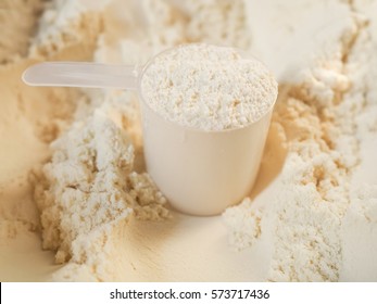 Whey Protein Powder