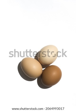 Which one would you choose? Minimalistic photo of three different eggs 