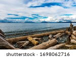 Whidbey Island Beach With Driftwood, Washington, USA