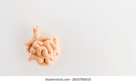 A whimsical representation of the digestive system crafted from soft, pliable playdough, isolated on a bright white surface for a minimalist aesthetic