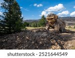 A whimsical wooden troll sculpture made with recycled wood pallets. Rita the Rock Planter in Victor, a second giant wood troll sculpture in Colorado