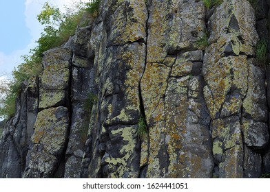 Whinstone Wall Yellowish Lichen On Its Surface.