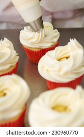 Whipped butter cream frosting applied to vanilla cupcakes