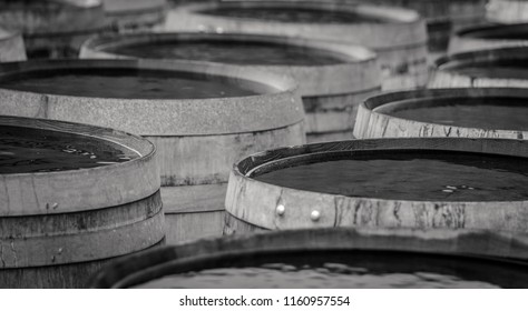 Whiskey Barrels On Islay, Scotland (B&W)