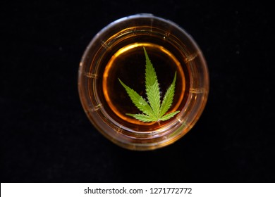 Whiskey with a Marijuana Leaf. Black Velvet background. 
Cannabis Liquor.

