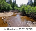 Whiskey Rapids in Algonquin Provincial Park Ontario Canada