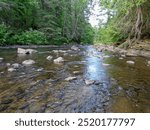 Whiskey Rapids in Algonquin Provincial Park Ontario Canada