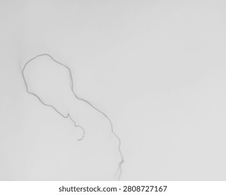 Whisper of Solitude

This captivating artwork features the delicate silhouette of a figure gently outlined against a stark white background. The minimalist design emphasizes the beauty of negative space, evoking a sense of introspection and tranquility. The subtle curves and contours of the figure suggest a moment of quiet contemplation, drawing viewers into a world of stillness. Through this elegant representation, the piece invites reflection on themes of solitude and the complexity of the human experience, celebrating the profound beauty found in moments of silence.