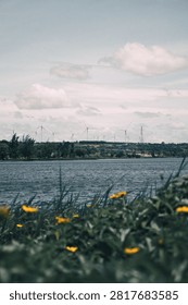 Whispers of Wind. Harmony Fields. Bloom and Breeze