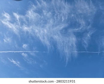 The whispy clouds in the sky