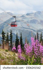 Whistler, BC / Canada - August 31, 2019: View Of The PEAK 2 PEAK Gondola With Whistler Mountain As Backdrop In Summer. Photo Taken On Blackcomb Mountain.