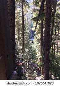 Whistler, British Columbia View From Zipline Platform In Cascade Mountain Range During Spring