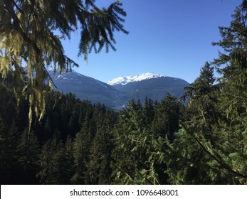 Whistler, British Columbia View From Zipline Platform In Cascade Mountain Range During Spring