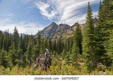 Whistler Mountain on Blue Lake Trail, North Cascades National Park, Washington, USA