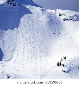 Whistler Ski Resort