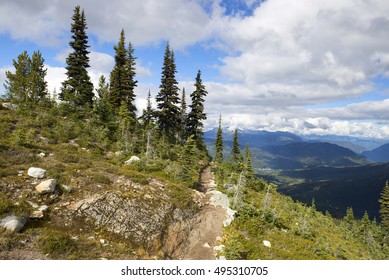Whistler, trails under the Mt. Whistler in Coast Mountains, British Columbia, Canada