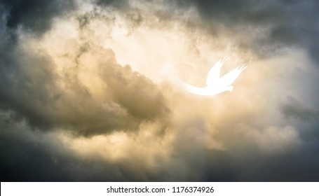 White Abstract Holy Spirit Pentecost Dove Descending From Storm Copy Space 