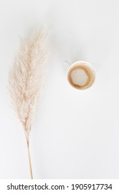 White A
Aesthetic Minimalism Feather With A Coffee Cup, Nordic Design