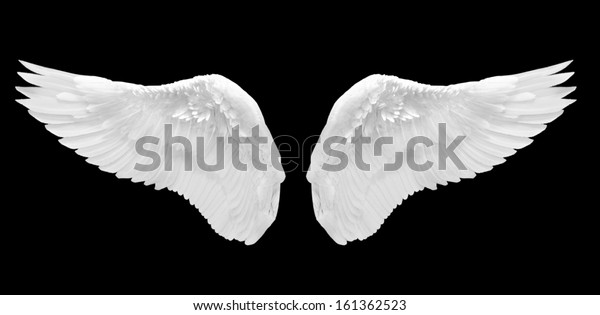 White Angel Wing Isolated Stock Photo (Edit Now) 161362523