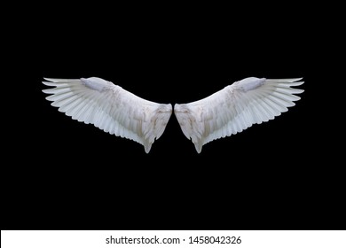 Front Profile Flying White Dove Isolated Stock Photo (Edit Now) 27846739