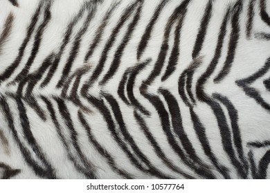 White Animal Tiger Fur, Skin Texture - Background