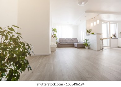 white apartment, sofa gray sun