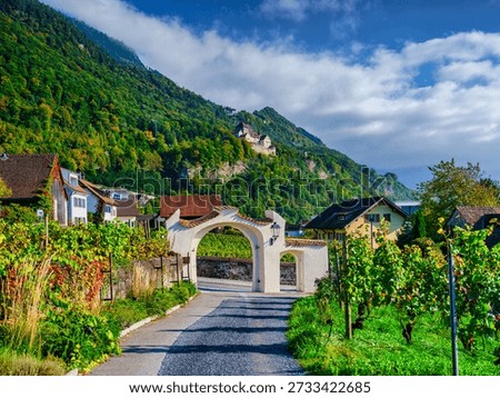 A white arched gateway spanning a paved road through green vineyards with Vaduz Castle perched on the forested hill in the background in Liechtenstein.