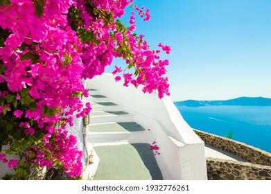 White architecture on Santorini island, Greece. Flowers on the stairs with sea view