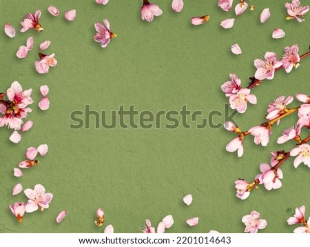 White aroma cherry flowers on a green background,