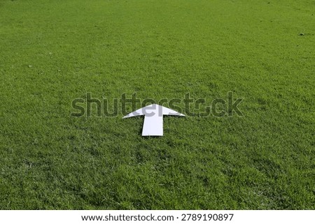 White arrow in a field of grass. Simple and centred. Concept: to keep going, pursuing what's ahead of you.
