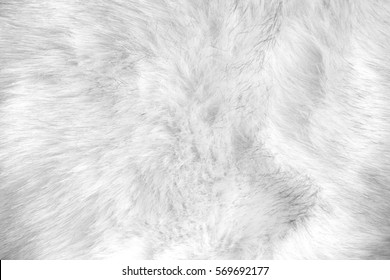 White Artificial Fur Texture