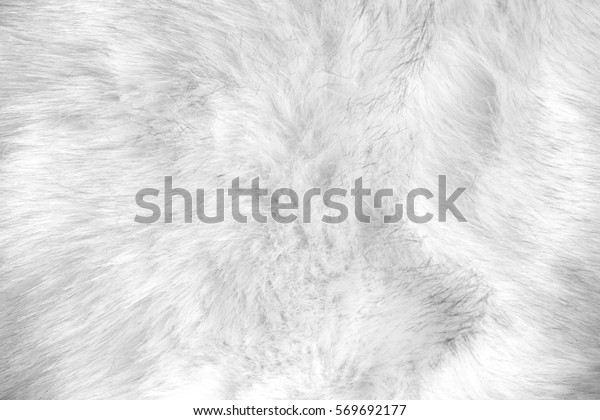 white artificial fur\
texture