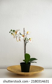 White Artificial Orchid In Pot On White Table Against White Wall. Stylish Home Decor Items