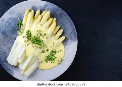White asparagus glazed with sauce hollandaise and cress served as top view on a design plate with text space 
