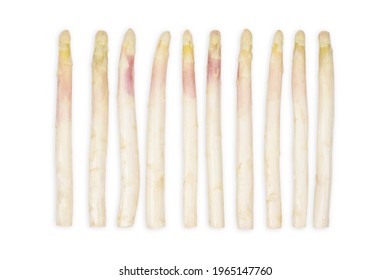 White asparagus isolated on white background.