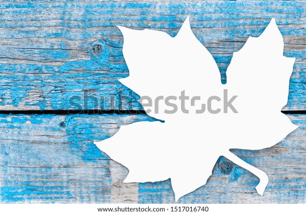 White autumn leaf\
on blue old boards. Background with autumn leaves. Copy space for\
inscription. Autumn\
leaves.