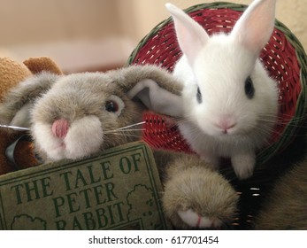 White Baby Easter Bunny Rabbit In Toy Basket With Plush Toy Rabbit And The Tale Of Peter Rabbit Book