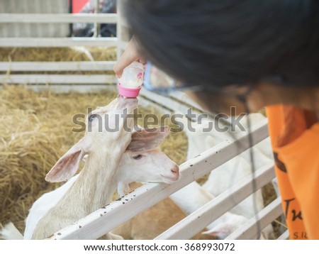 Similar – Image, Stock Photo Little baby cow feeding from milk bottle.