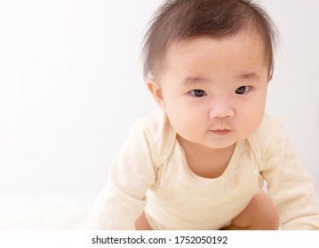 White Background Baby Portrait Stock Photo 1752050192 | Shutterstock