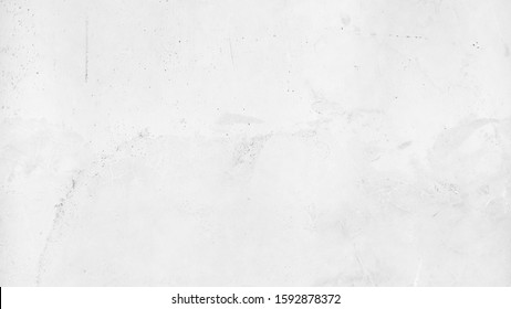 Plain Dirty White Background Hd - Denk Bee