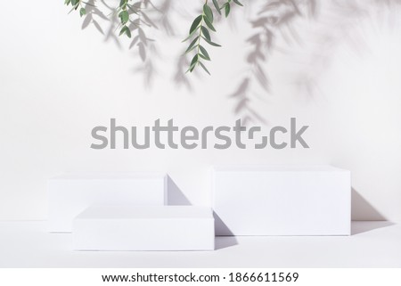 White background for cosmetic products. Rectangular podiums with the shadow of the branches of the eucalyptus.