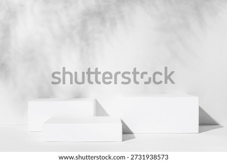 White background for cosmetic products. Rectangular podiums with the shadow of the branches of the eucalyptus.