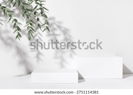 White background for cosmetic products. Rectangular podiums with the shadow of the branches of the eucalyptus.