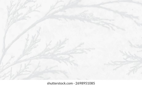 White background with delicate branch patterns, creating a soft, textured white background. Ideal for background design beautiful aesthetic background design.