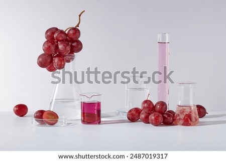 White background featuring several types of lab glassware consist of erlenmeyer flask, beaker, petri dish and measuring cylinder with fresh grape and grape seed extract. Empty space for advertising