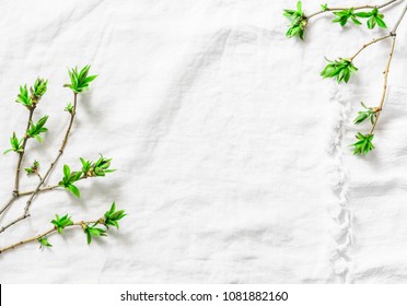 White background with fresh green leaves branches with copy space. Rustic spring frame background composition with free space for text. Top view, flat lay     