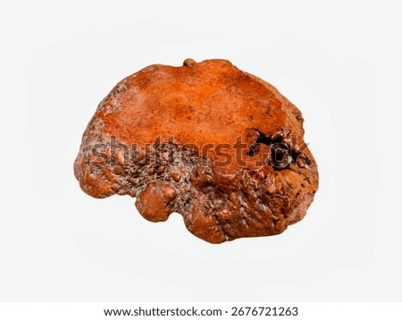 The white background in the image is the base of a tree root or part Or part of a decorative tree can be modified into a base to place various items in the house or used for display in a shop.