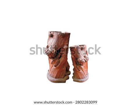 The white background in the image features tree stumps, roots, and brown logs with natural patterns, used to create beautiful works of art for display in homes or shops. They offer vibrant colors.